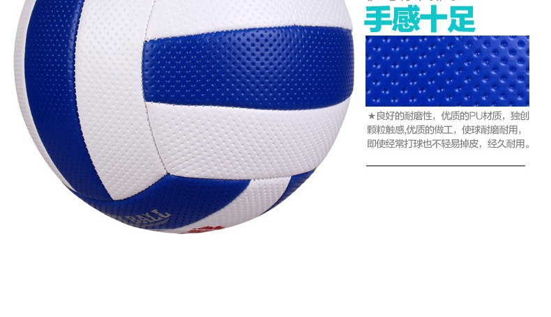 Ballon de volley - Ref 2010982 Image 19