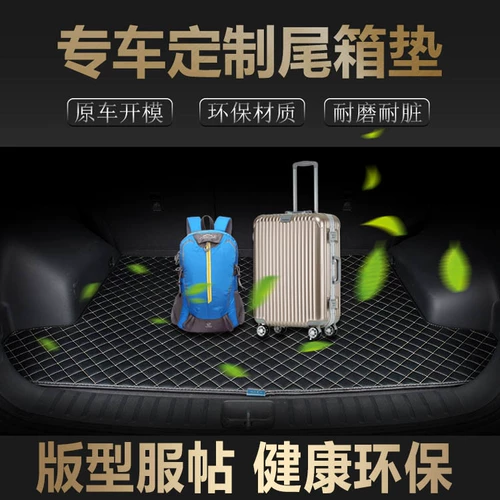 Skoda octavia rui xinyin xin rui speed curdiak kemik