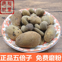 Chinese herbal medicine gallnut 500g male wild gallnut and Snake sensitive gallnut powder non-Tongrentang