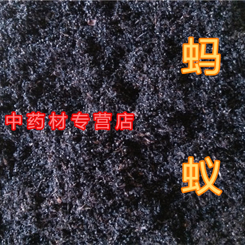 Black Ants Authentic Black Ants Dry To Black Multithorn ant Chinese herbal medicine Black ants Dry 100 gr Brew Wine