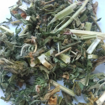 Chinese herbal medicine wild motherwort New stock 500 gr natural fresh grass aunt Bubble with clean no sulphur to cook eggs