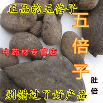 Five times Zig 500 gr Chinese herbal medicine 100 Words wild for another five times Seeds Cnidium Powder powder can be powder
