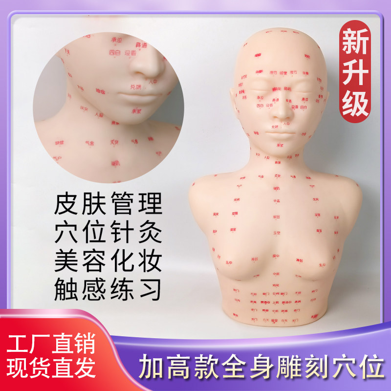 Skin Administrator Head Model Special Beauty Institute Learning Practicing Hand Law Facial Acupoint Massage Dummy Bald Bald Model With Shoulder