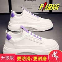 DM/A9968-S White Purple Специальная цена [обновление]
