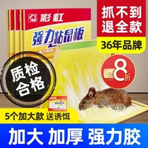 Rainbow sticky mouse board Sticky mouse paste Mouse paste mouse glue Super strong household thickened big mouse artifact