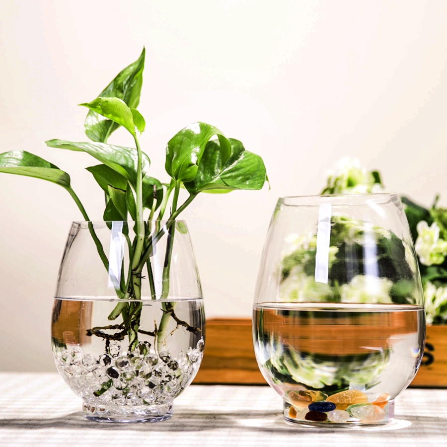 Creative Dinosaur Egg Vase Clear Glass Vase Hydroponic Lucky