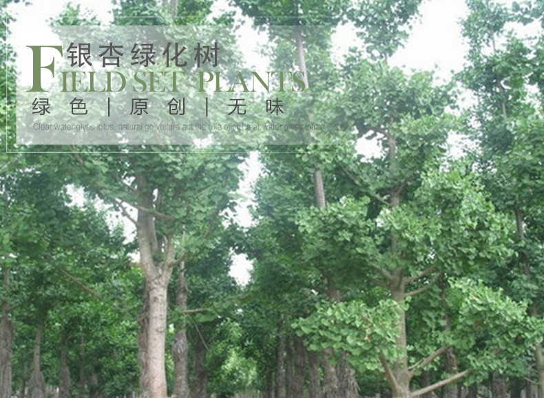 gWmWivOiz9St5Ja2ZAY0YO1gvt9/5Zwoxzwe