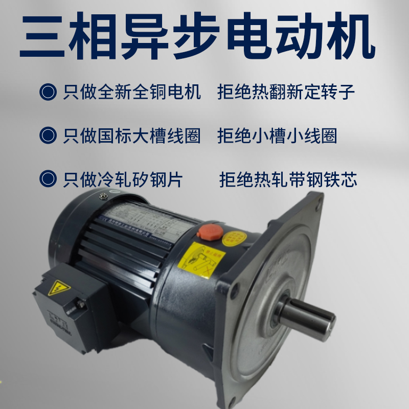 Cpg Taiwan Shengbang Gear Reduction Three-Phase Asynchronous Motor Vertical Brake Variable Frequency Speed Control Wanxin Taibang Gpg Cpg Taiwan Shengbang Gear Reduction Three-Phase Asynchronous Motor Vertical Brake Variable Frequency Speed Control Wanxin Taibang Gpg