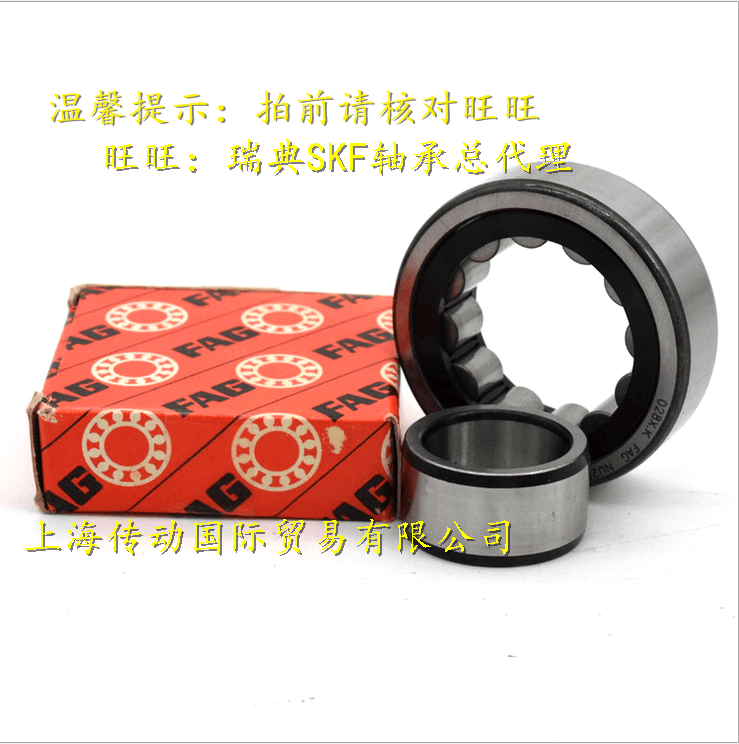 German FAG Original Loaded Import Bearings NU204E TVP2 cylindrical roller bearings NU204E-TVP2-C3