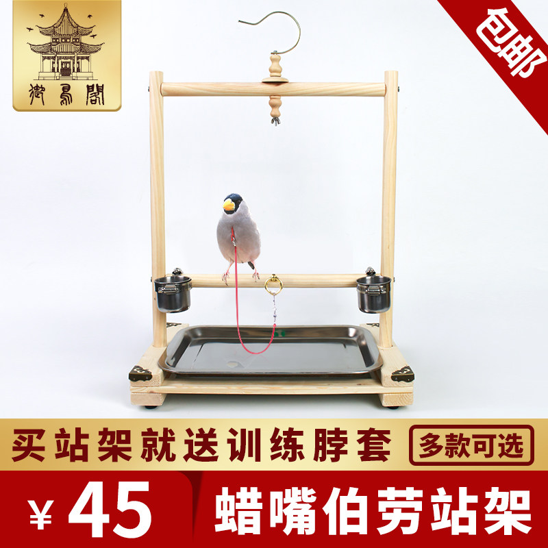 Xuan Feng monk Little Sun Eight-brother-in-the-eighth-brother-in-body wax mouth Burao training bird shelving parrot wood station Bird Neck kit