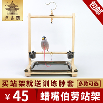 Xuan Feng monk Little Sun Eight-brother-in-the-eighth-brother-in-body wax mouth Burao training bird shelving parrot wood station Bird Neck kit