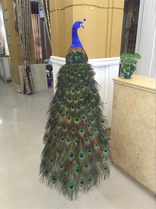 Simulated Peacock Ornaments, Specimens, Animal Models, Handicrafts, Home Living Room Window Decorations, Wedding Photography Props