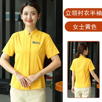 LW Стоящая воротника на полки на рукавах