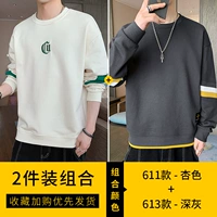 611 Абрикосовый цвет + 613 темно -серый