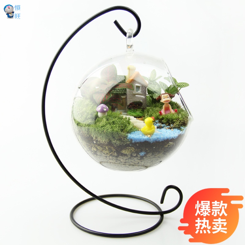 Mini Potted Mosses Micro Landscape Ecological Bottle Mosses Bottle Mosses Bonsai Valentine's Day Fun Gift Warm Home