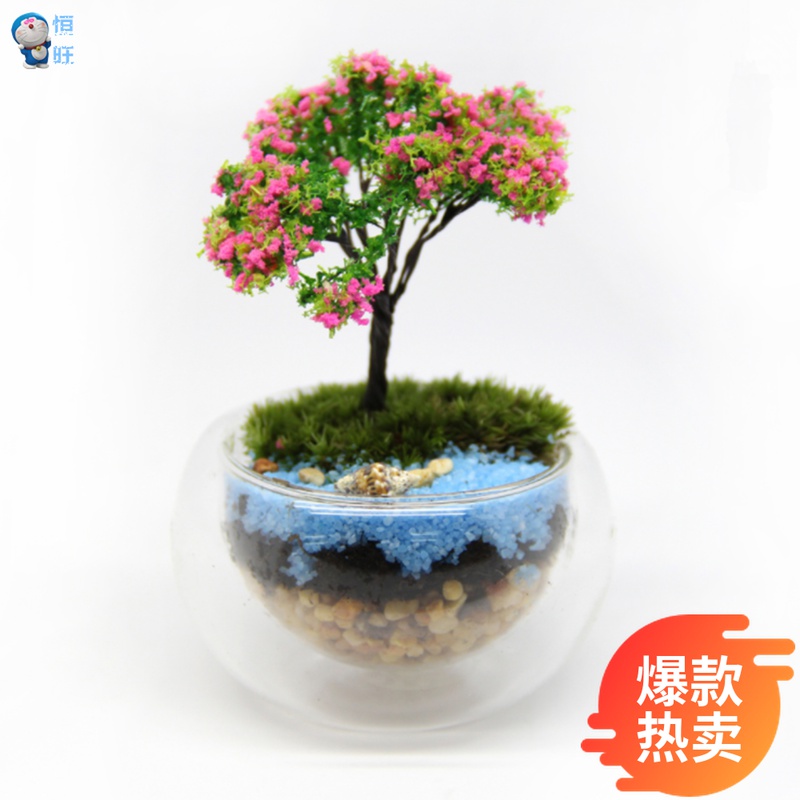 Moss microlandscape ecological bottle double bottle glass mini creative gift small world river with a wishtree