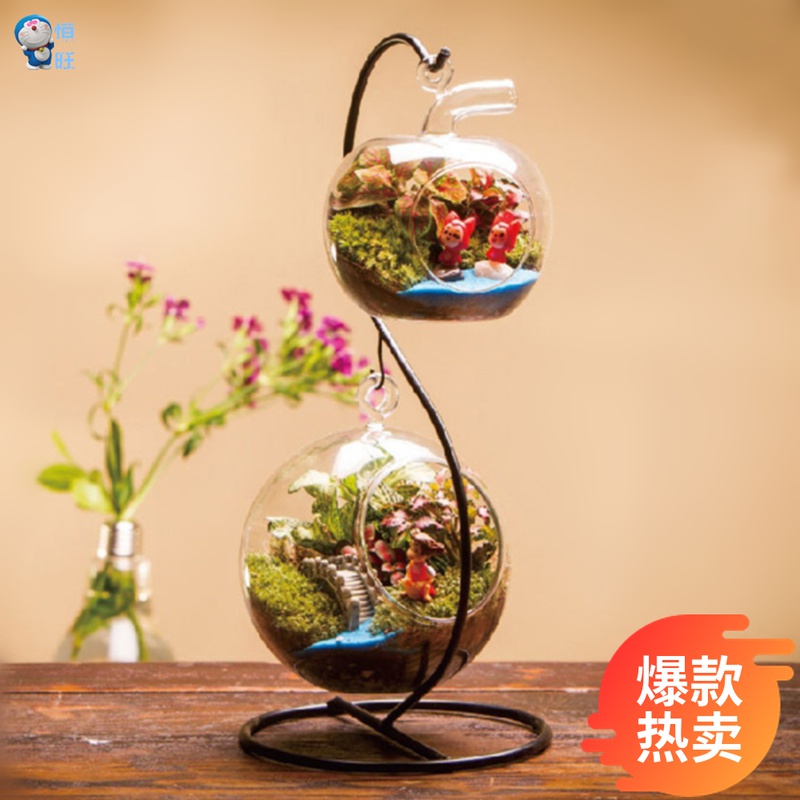 Creative gift gift Moss micro landscape Xiaomei finished ecological bottle S bottle bottle set small apple water Moon Moon