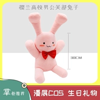 Ситтер (отдел по связям с общественностью мужчин Университета Сакуралана)