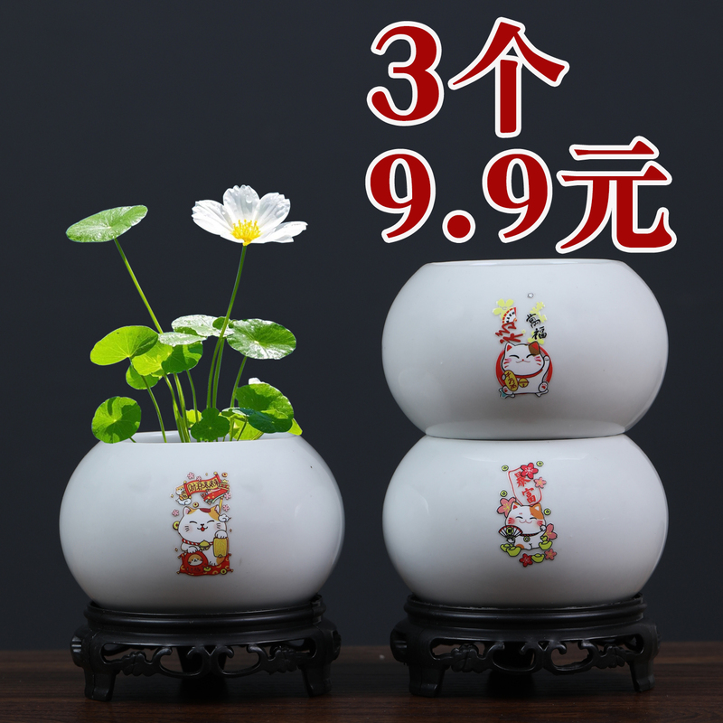Minimalist White Ceramic Succulent and Bamboo Grass Hydroponic Money Plant Small Flower Pot Without Holes, Green Plant Container, Desktop Flower Vessel Clearance Sale