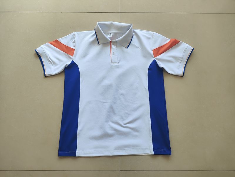 Sichuan Province Ziyang City Anyue County Industrial Avenue Primary School Set with School Emblem