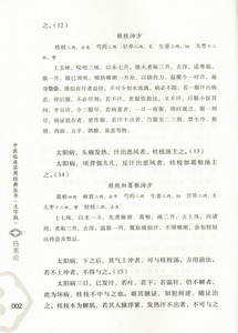 正版 大字版 中医临床实用经典丛书 伤寒论 张仲景著 中国医药科技出版社