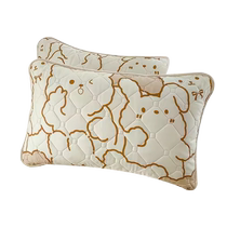 Anti-salt and oil pillowcase summer pair 48×74cm quilted pillowcase single waterproof pillow case
