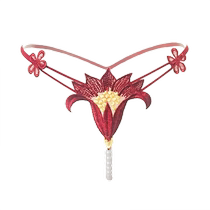 Sexy Jane ladys thong open crotch one line hollow low waist see-through seamless T-pants pendant sexy hot style