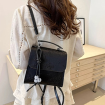 Backpack Women 2024 New Fashion New Chinese Style National Style Small Backpack Portable Student School Bag Outing Travel Backpack