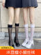 Lace Calf Socks for Women, Summer Thin Black Silk Lace Half-Knee Mid-Tube Socks, Jk Pure Desire White Boot Socks