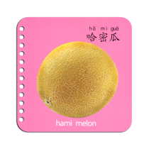 Infants and young childrens whole brain memory basic literacy book young childrens connection unbreakable enlightenment early education flip book literacy card