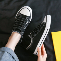 Shoes for women 2024 new white shoes summer Korean version versatile student sneakers soft sole spring and autumn Velcro canvas shoes