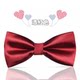 Double-Layered British-Style Children's Bow Tie for Elementary School Students, Performance Bow Tie, Red and Black, Boys' Shirt, Suit Collar Flower