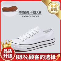 Белый [обновленное сопротивление модели]