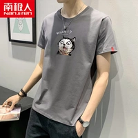 Серый испуган