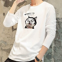 Напуганная кошка белая