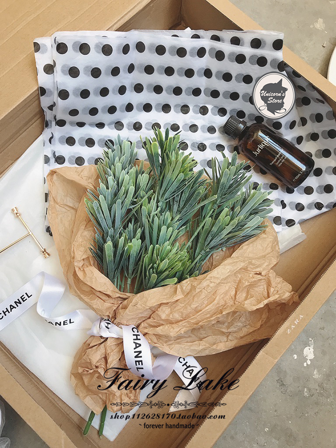 ins Songbai Leaf pine coniferous bride hand held with matching vegetation green plant breakfast baker shooting props