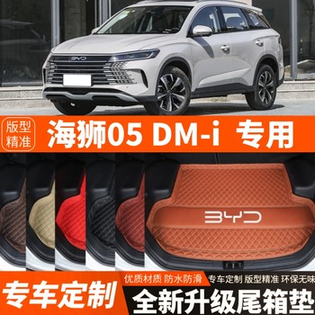 New byd hiace 05dmi special car trunk mat tail box mat thickened interior decoration modification