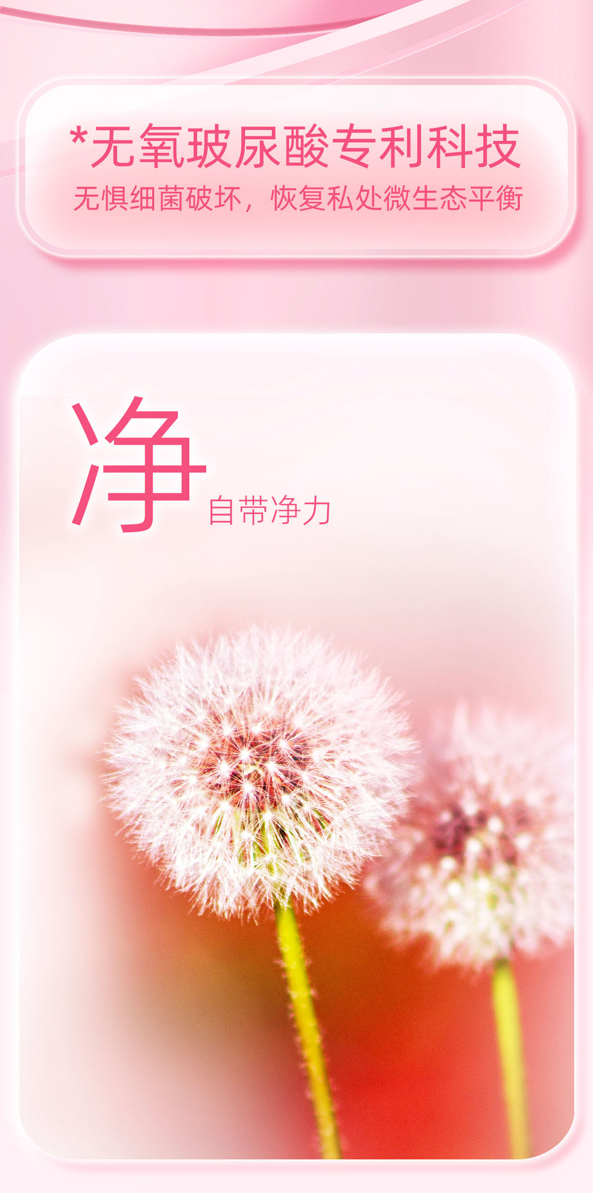 【中国直邮】 倍力乐 玻尿酸避孕套 净薄003 10只/盒 安全 纯度95%玻尿酸 裸感 超薄 持久润滑 不油腻 男女用