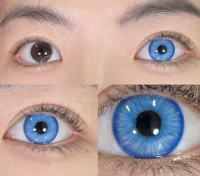 [Ежедневно 10 таблеток] Диаметр Micro -Polywa