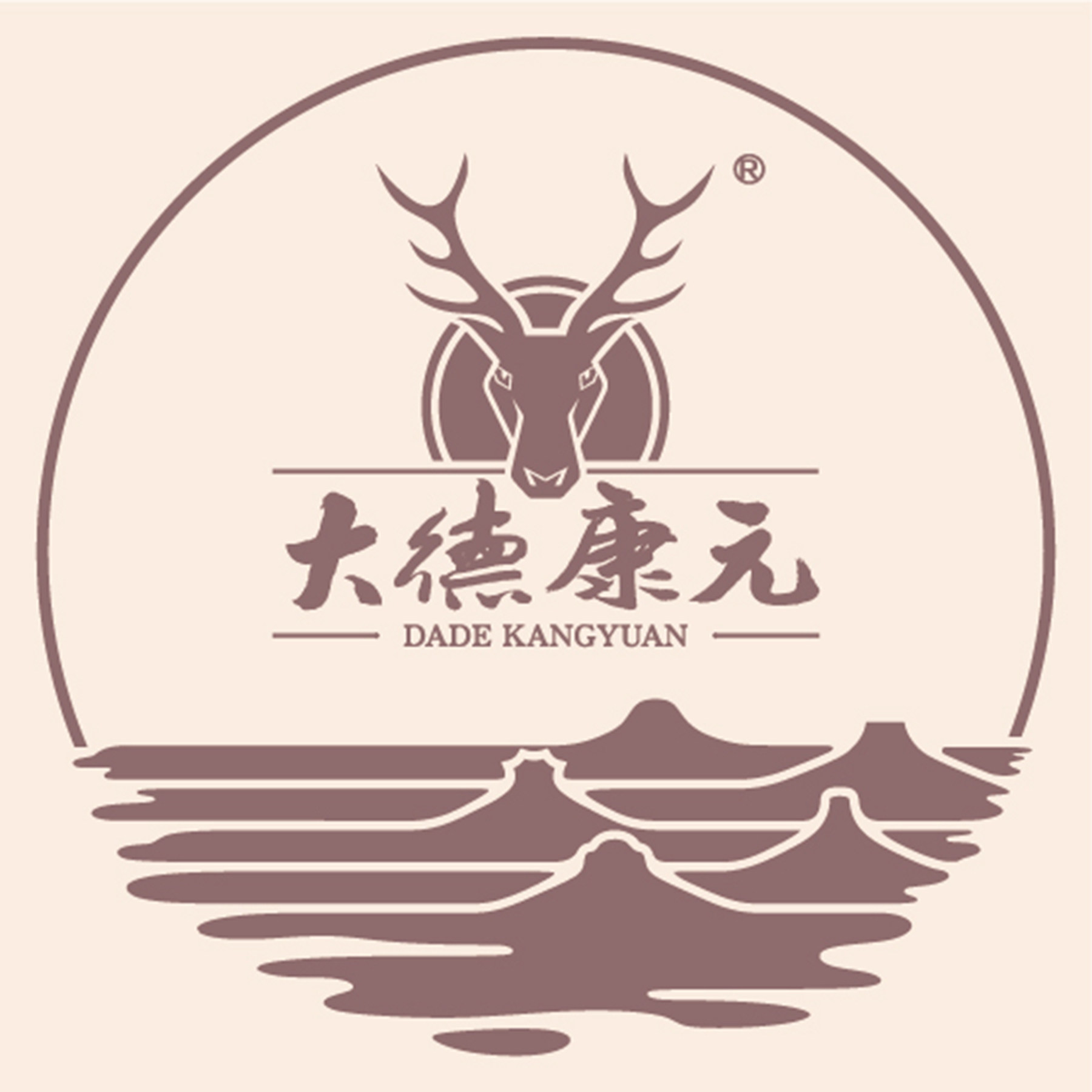 大德康元旗舰店的LOGO
