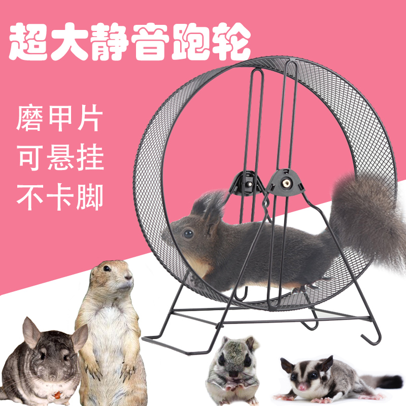 Honey bag flying squirrel chinchilla hedgehog squirrel hamster mute metal bearing grinding claw grinding nail running wheel can be suspended