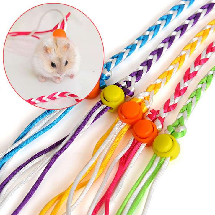 Honey bag gliding golden flower hamsters go out to pull flying squirrels anti-lost devil squirrel sleeve neck strap traction rope training rope