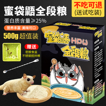 Honey bag glider food staple food feed Honey kangaroo food dense rat honey bag ferret food main food HPW food young honey food