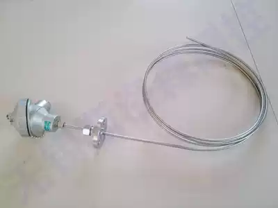 Temperature sensor Armored thermal resistance PT100 Temperature measuring monitor Flange mounted thermocouple