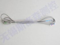 Hose PT100 temperature sensor Thermal resistance temperature probe Stainless steel handle temperature sensor