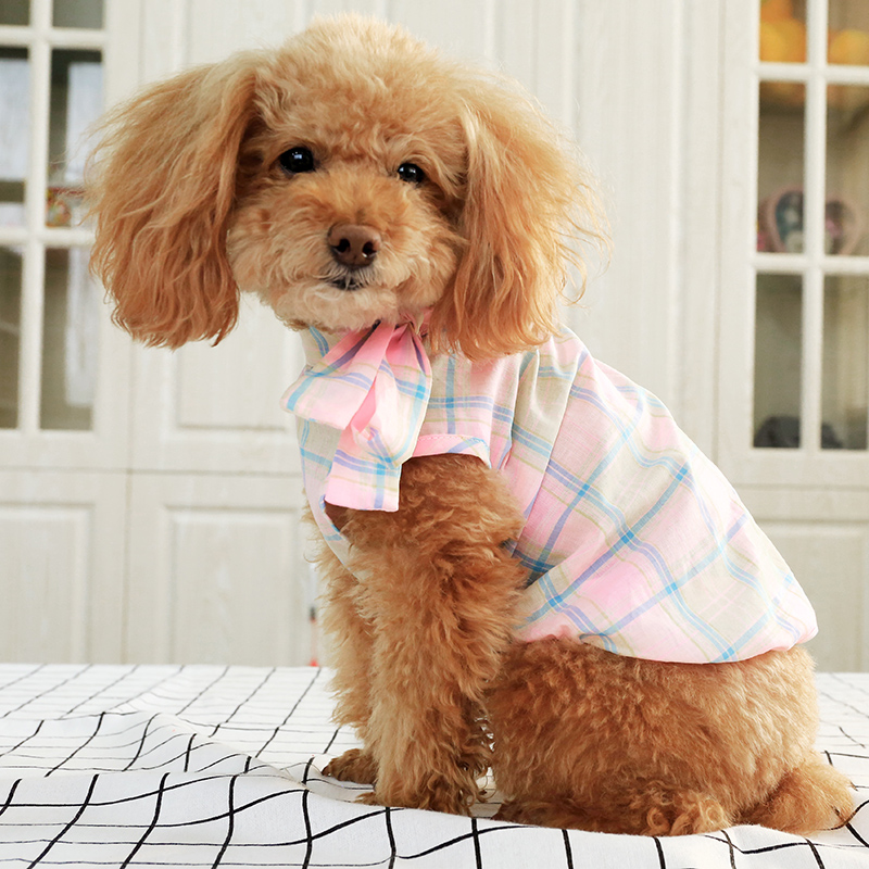 Quần áo thú cưng Teddy Bomeibi gấu chó nhỏ áo chó con chó mùa hè quần áo nơ bột mùa xuân và quần áo mùa hè - Quần áo & phụ kiện thú cưng quan ao thu cung
