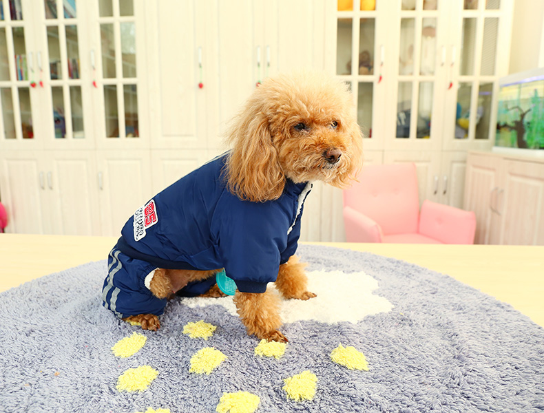 PETCIRCLE quần áo chó Teddy luật chiến đấu Bomei mèo mùa thu quần áo thú cưng đội trưởng đội áo khoác - Quần áo & phụ kiện thú cưng quần áo thú cưng
