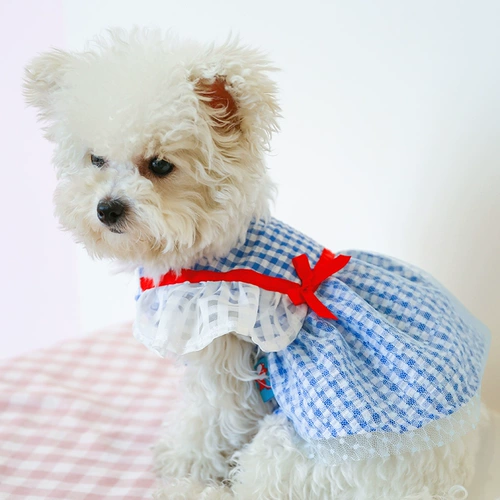 Собака бичон Померанский Йоркшир VIP Teddy Olde Женская собака платье принцесса летняя одежда тонкая удобная