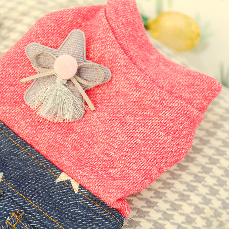 Váy công chúa thú cưng váy công chúa Teddy Bomei quần áo chó nhỏ mùa thu và mùa đông sao váy denim - Quần áo & phụ kiện thú cưng quần áo thú cưng size lớn