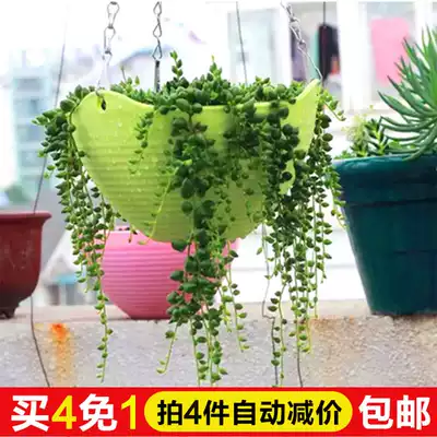 Hanging plastic basket flower pot pendant hanging wall-mounted gold Ge Du meat flower balcony thickened resin flower pot